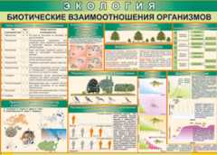 Таблица "Биотические взаимоотношения организмов" (100х140 сантиметров, винил) - fgospostavki.ru - Сочи