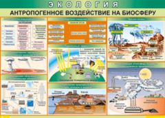Таблица "Антропогенное воздействие на биосферу" (100х140 сантиметров, винил) - fgospostavki.ru - Сочи