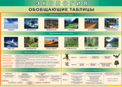 Таблица "Экология. Обобщающие таблицы" (100х140 сантиметров, винил) - fgospostavki.ru - Сочи