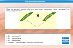 Интерактивные курсы. Биология 11 класс. Базовый. - fgospostavki.ru - Сочи