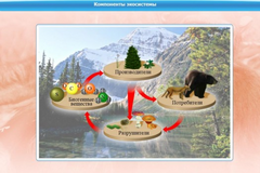 Интерактивные курсы. Биология 7 класс. Базовый. - fgospostavki.ru - Сочи
