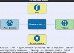 Интерактивные курсы. Биология 5 класс. Базовый - fgospostavki.ru - Сочи