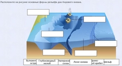 Интерактивные курсы. География 7 класс . Базовый. - fgospostavki.ru - Сочи