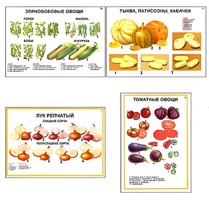 Плакаты ПРОФТЕХ "Ассортимент овощных культур" (12 пл, винил, 70х100) - fgospostavki.ru - Сочи