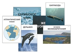 Модель-аппликация "Океаны. Знакомство" (ламинированная) - fgospostavki.ru - Сочи
