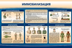Стенд "Иммобилизация" - fgospostavki.ru - Сочи