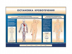 Электрифицированный стенд-тренажер "Остановка кровотечения" - fgospostavki.ru - Сочи