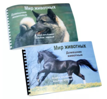 Пособие для слабовидящих - Домашние животные - fgospostavki.ru - Сочи