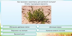 Интерактивные курсы. Окружающий мир 3 класс . Базовый. - fgospostavki.ru - Сочи