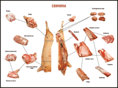 Таблица "Правила разделки мясных туш. Свинина" (100х140 сантиметров. винил) - fgospostavki.ru - Сочи