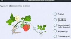 Интерактивные курсы. Биология 7 класс. Расширенный. - fgospostavki.ru - Сочи
