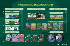 Электрифицированный стенд "Уровни организации жизни" - fgospostavki.ru - Сочи