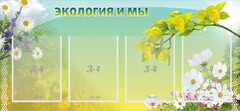 Стенд "Экология и мы" - fgospostavki.ru - Сочи