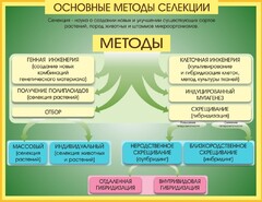 Стенд "Методы селекции и биотехнологии" - fgospostavki.ru - Сочи
