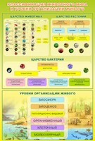 Стенд "Классификация животного мира" - fgospostavki.ru - Сочи