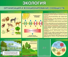 Стенд "Экология. Организация и функционирование сообществ" - fgospostavki.ru - Сочи