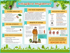 Стенд "Клещевой энцефалит" - fgospostavki.ru - Сочи
