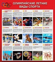 Стенд "Олимпийские летние виды спорта" - fgospostavki.ru - Сочи