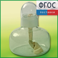 Спиртовка демонстрационная - fgospostavki.ru - Сочи