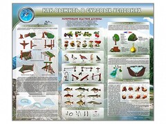 Стенд "Как выжить в суровых условиях" - fgospostavki.ru - Сочи