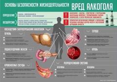 Стенд "Алкоголь" - fgospostavki.ru - Сочи