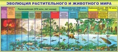 Стенд "Эволюция растительного и животного мира" - fgospostavki.ru - Сочи