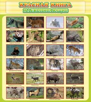 Стенд "Красная книга - млекопитающие" - fgospostavki.ru - Сочи
