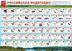 Стенд "Красная книга РФ" - fgospostavki.ru - Сочи