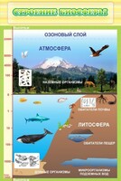 Стенд "Строение биосферы" - fgospostavki.ru - Сочи