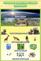 Стенд "Уровни организации живого" - fgospostavki.ru - Сочи