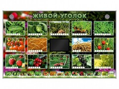 Комплект оборудования "Живой уголок" (растения) - fgospostavki.ru - Сочи