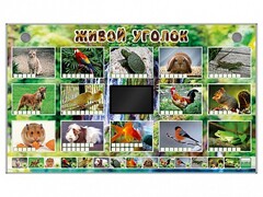 Комплект оборудования "Живой уголок" (животные) - fgospostavki.ru - Сочи