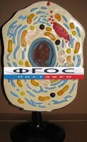 Модель "Клетка животного" - fgospostavki.ru - Сочи