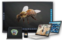 Современные технологии пчеловодства - fgospostavki.ru - Сочи