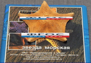 Сухой препарат "Звезда морская" - fgospostavki.ru - Сочи