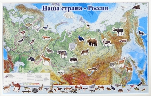 Магнитные карточки "Животные" - fgospostavki.ru - Сочи