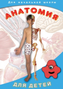 DVD "Анатомия для детей" - fgospostavki.ru - Сочи