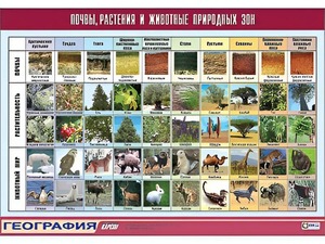 Таблица демонстрационная "Почвы, растения и животные природных зон" (винил 100*140) - fgospostavki.ru - Сочи