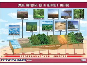 Таблица демонстрационная "Смена природных зон от полюсов к экватору" (винил 70*100) - fgospostavki.ru - Сочи