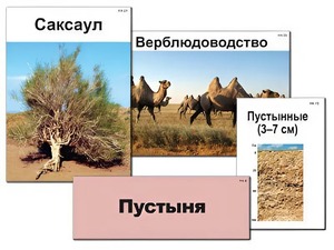 Модель-аппликация "Природные зоны России" (ламинированная) - fgospostavki.ru - Сочи