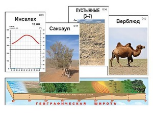 Модель-аппликация "Природные зоны" - fgospostavki.ru - Сочи