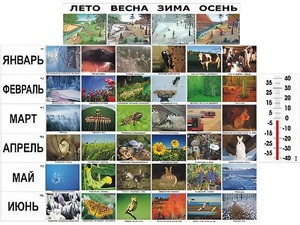 Фенологические наблюдения - fgospostavki.ru - Сочи