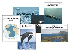 Модель-аппликация "Океаны. Знакомство" (ламинированная) - fgospostavki.ru - Сочи
