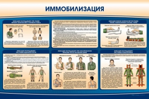 Стенд "Иммобилизация" - fgospostavki.ru - Сочи