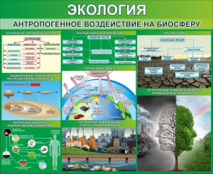Стенд "Экология. Антропогенное воздействие на биосферу" - fgospostavki.ru - Сочи