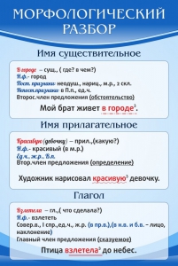 Стенд "Морфологический разбор" - fgospostavki.ru - Сочи