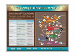 Интерактивный электрифицированный стенд "Эволюция животного мира" - fgospostavki.ru - Сочи