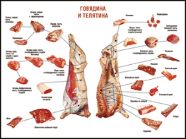 Таблица "Правила разделки мясных туш. Говядина и телятина" (100х140 сантиметров, винил) - fgospostavki.ru - Сочи