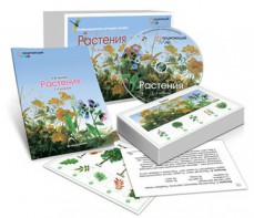 Комбинированное наглядное пособие «Растения» - fgospostavki.ru - Сочи