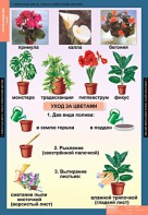 Комплект таблиц. Окружающий мир 1 класс. - fgospostavki.ru - Сочи